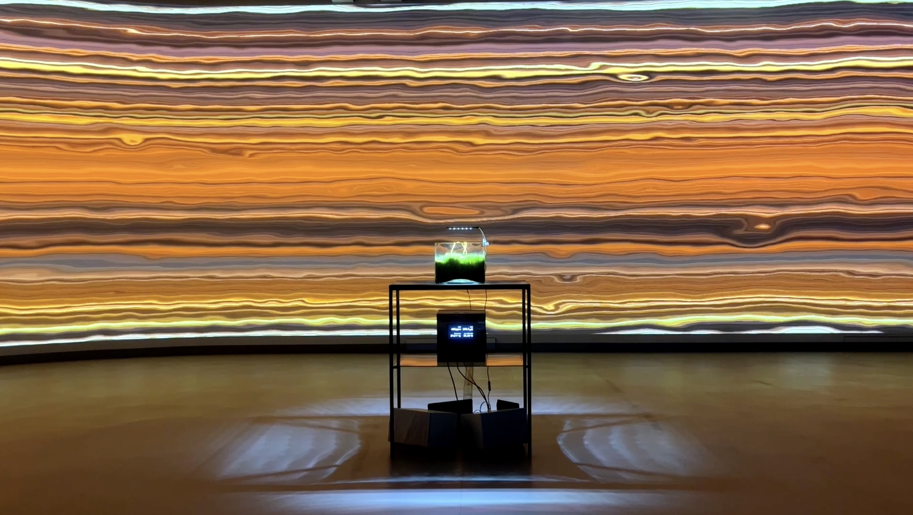 alles tanzt / MoorReaktor installation view